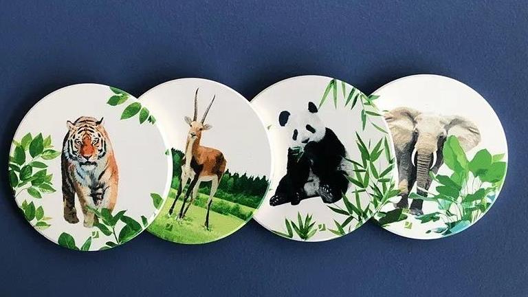 这些植物，你熟悉吗？