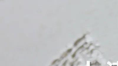 展会预报 | 大津邀您共赴一场夸姣糊口之约！